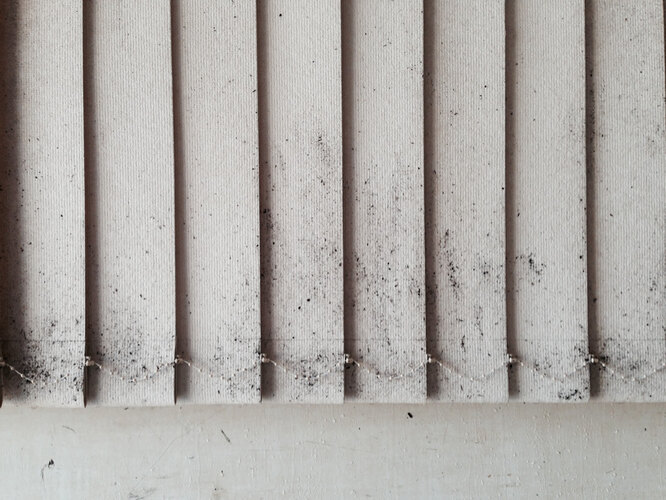 жалюзи в Алматы