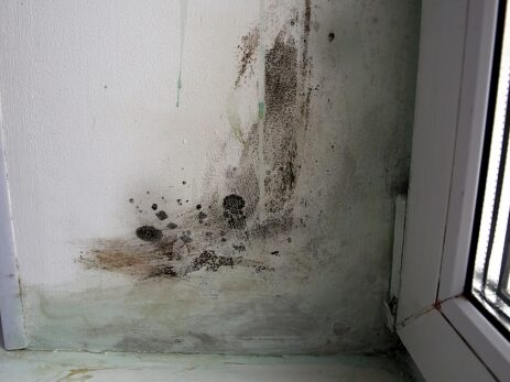 откосы в Алматы